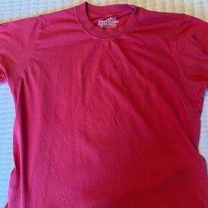 Big Bud Press Vintage Tee in Pink